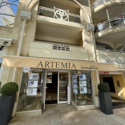 agence artemia (6)